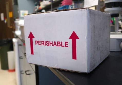 Perishable Cargo